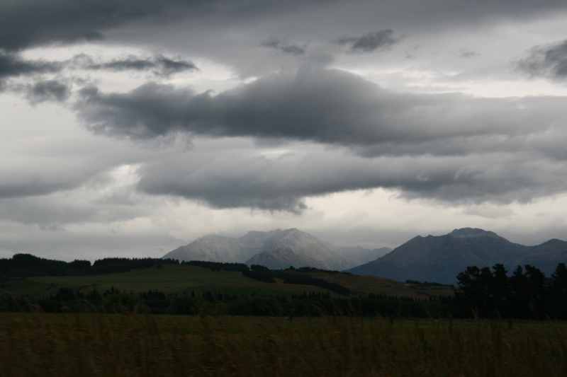 Nieuw-Zeeland 2011 - 1657